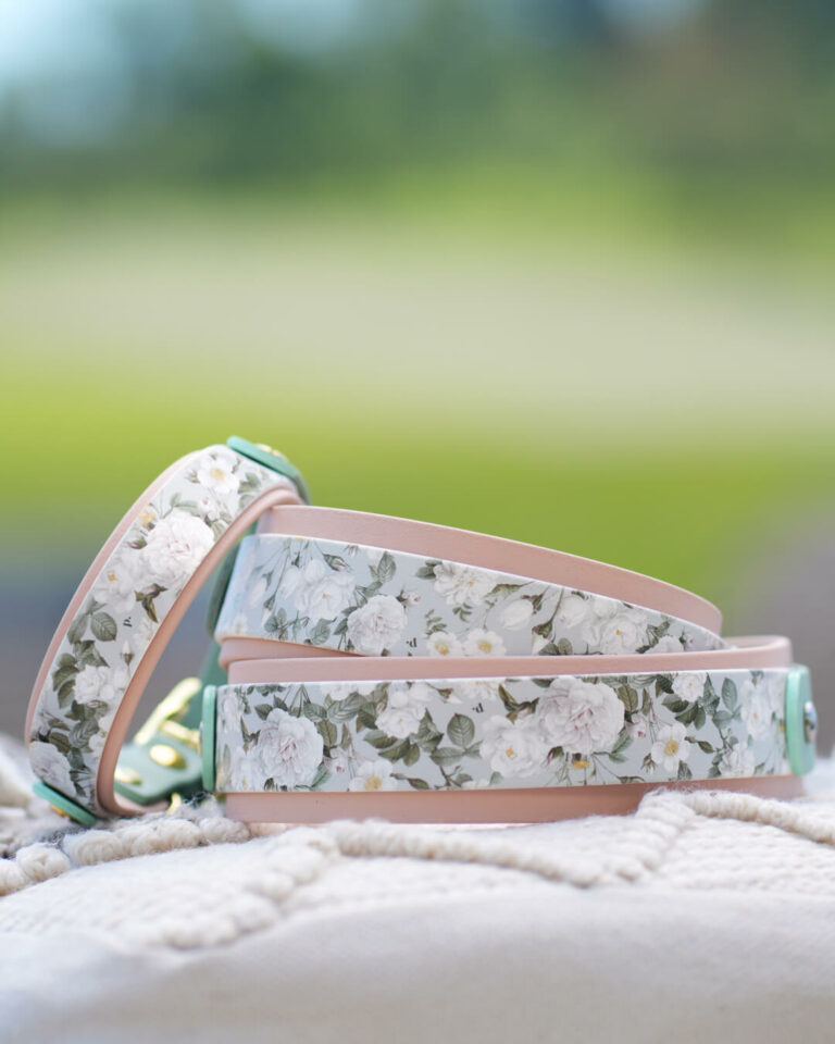 Unique Design Hundehalsband - Mit anpassbaren Designs