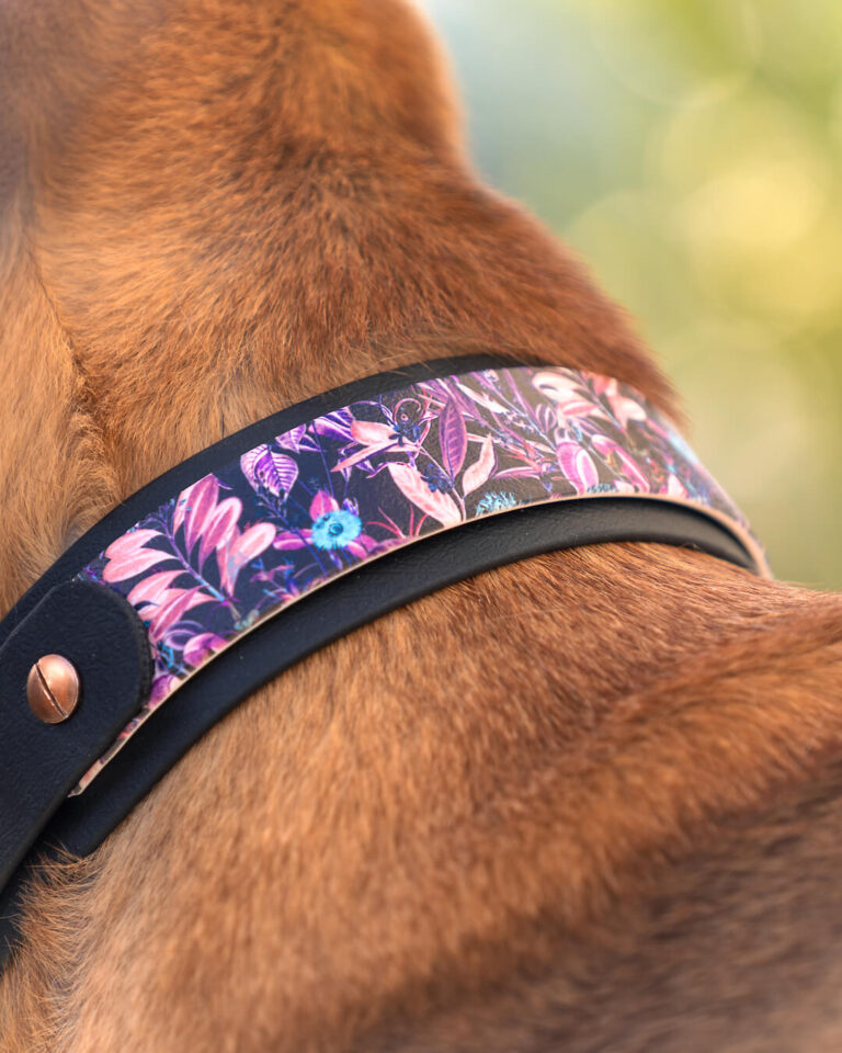 Unique Design Hundehalsband - Mit anpassbaren Designs