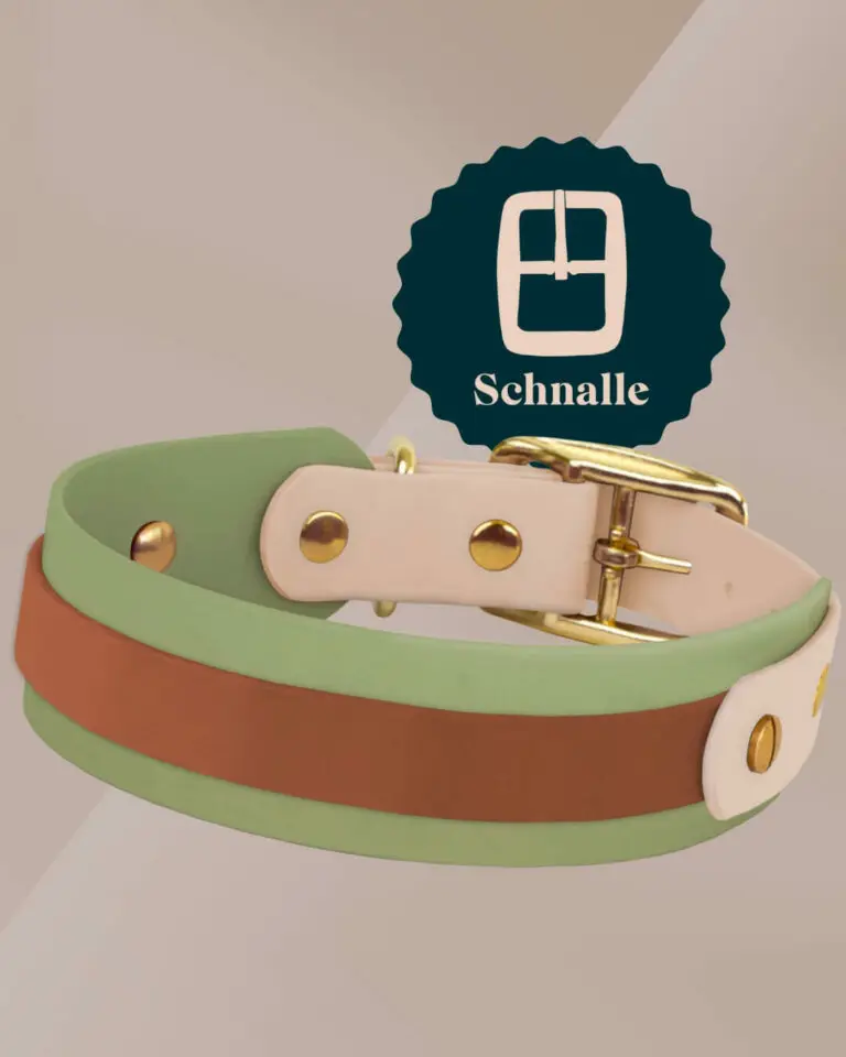 Das peakpup unique basic Hundehalsband