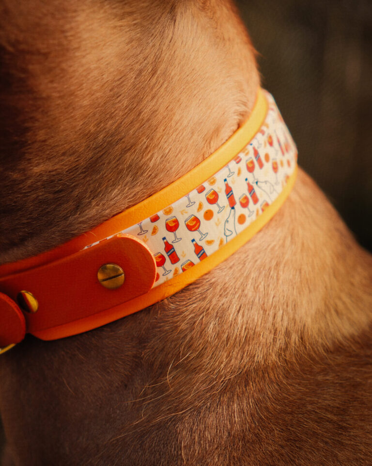 Hundehalsband peakpup mit Aperol Design