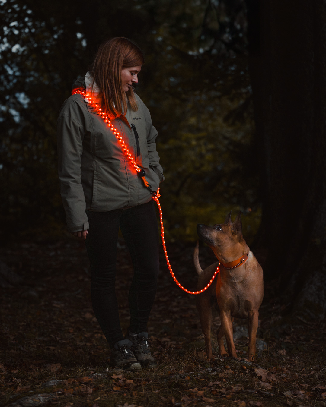 lightlead_outdoor peakpup lightlead - LED Leine mit Akku und USB-C