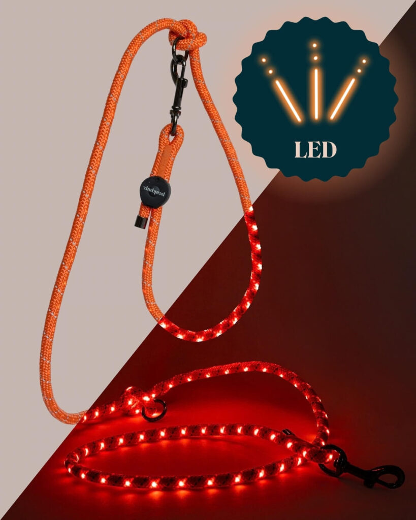 peakpup lightlead - LED Leine mit Akku und USB-C