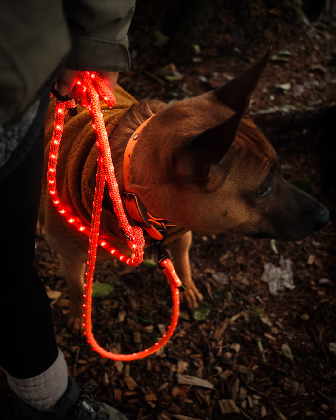 peakpup_lightlead_leadleine peakpup lightlead - LED Leine mit Akku und USB-C